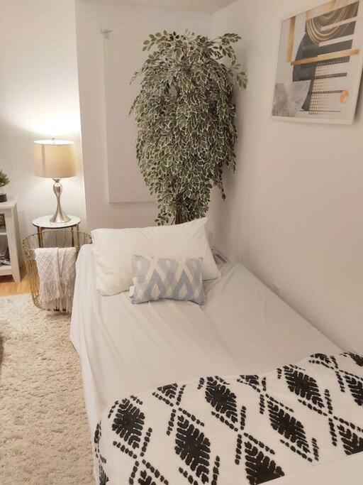 Cozy Suite, Free Wifi , Free Parking YYC Exterior foto